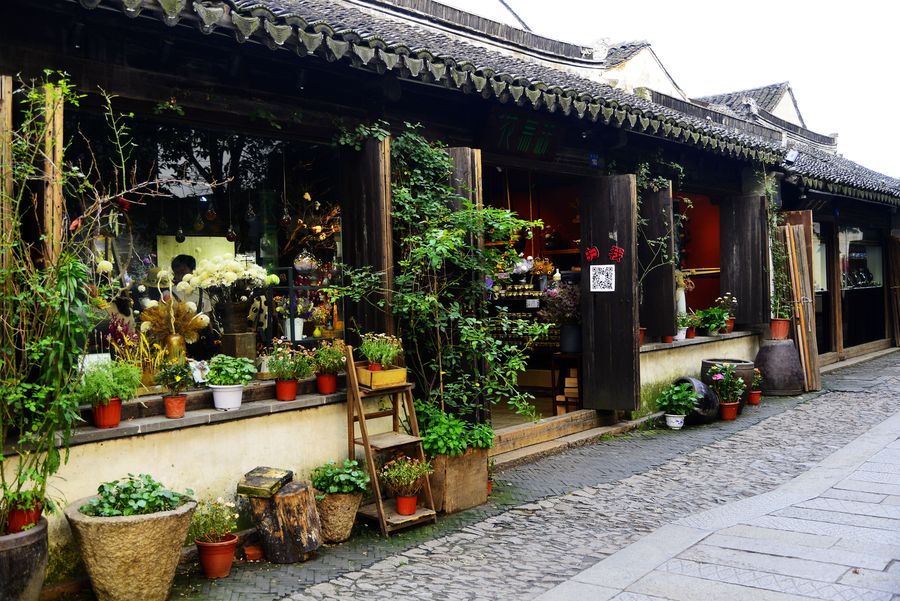 「苏州」苏州最有名的一条古街,堪称“梦里故乡”,你知道是哪里吗?