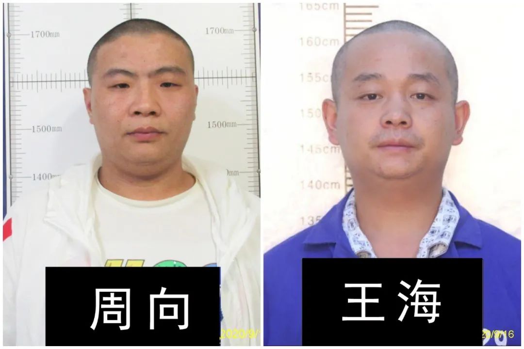 天眼新闻|有关这5人的黑恶势力犯罪线索,公开征集!