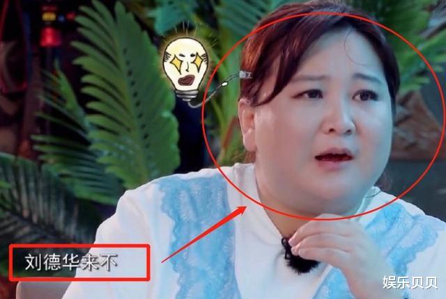 贾玲|佟丽娅成功追星刘德华，还不忘到贾玲面前炫耀，沈腾操作更有意思