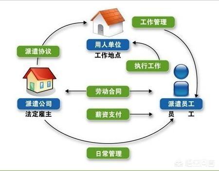 职场小龙虾 有人说做什么都别做劳动派遣？为什么遍地都是劳务派遣公司？