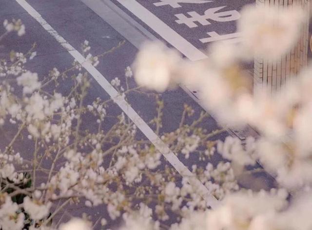 生肖|智商很高，难以按套路出牌的星座，头脑好，善于应对很多场合