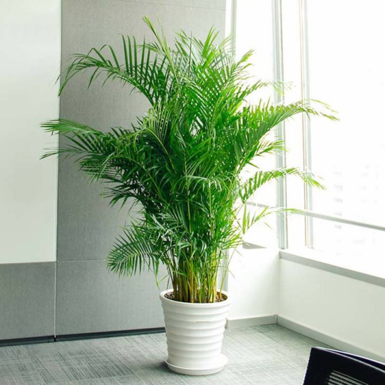 婴儿浑身长红斑，夜夜哭闹不休，罪魁祸首竟是甲醛！