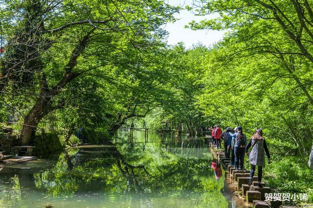 [绿野仙踪]黄山这个小众旅游景点，知道的人极少，简直是现实版的绿野仙踪！