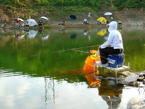 饵料|野钓时如何能调出大鱼?