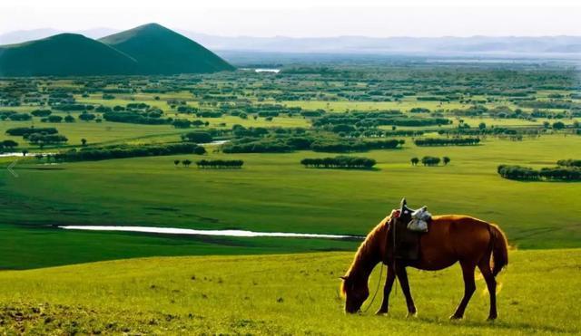洛阳@值得家庭出游的10个经典景区