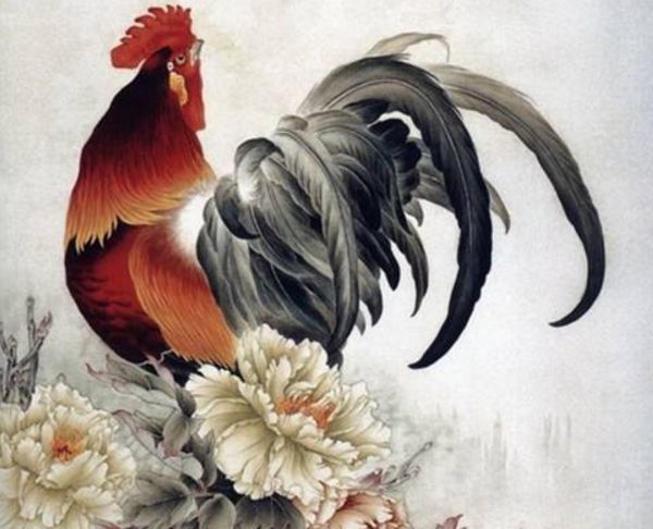 『属鸡』鸡:福报要来了,近期家庭有天塌喜事发生,别不信