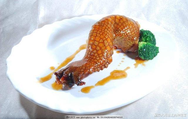 酸浆|为什么人类不吃大王酸浆鱿？也不吃老虎狮子，非得吃食草动物？