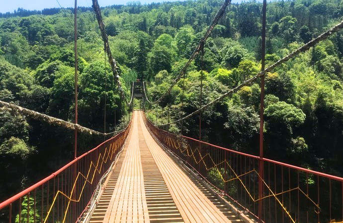 「成都」什么？成都人的五一，南宝山成了首选之地