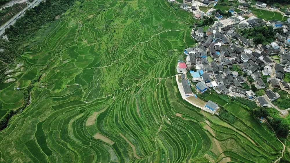 青岛市|收藏！面向全国免费！免费！