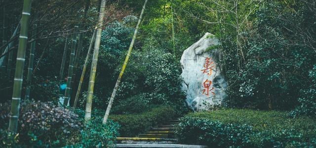 「南山竹海」苏皖两省交界处藏着一处“最美竹海”，游客却说欣赏它的美太贵了