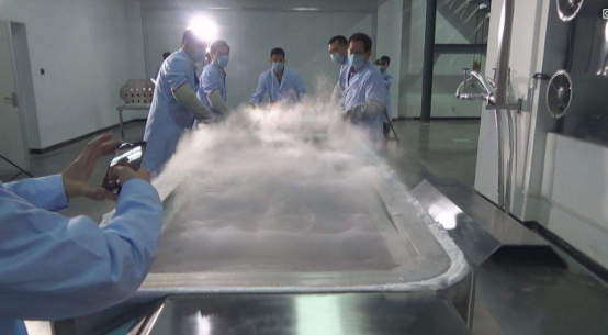 |科技再次突破！世界首个“穿越时空”的人，他能适应未来社会吗？