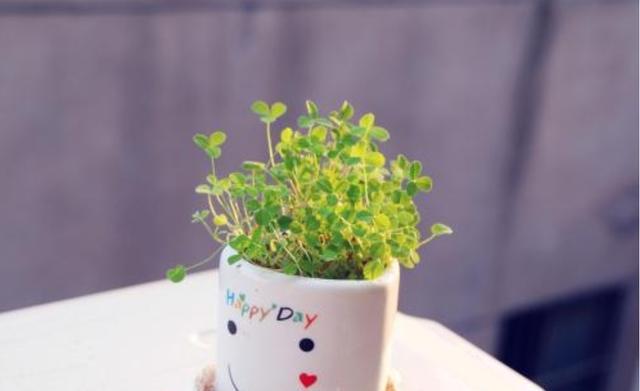 生肖|七夕来临时，桃花朵朵开，3星座邂逅旧爱，余生幸福无比