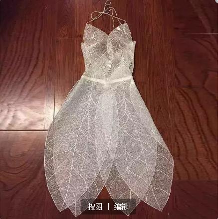 【4G】在女票电脑上发现一个 1.4G 的文件夹，点开后我崩了…