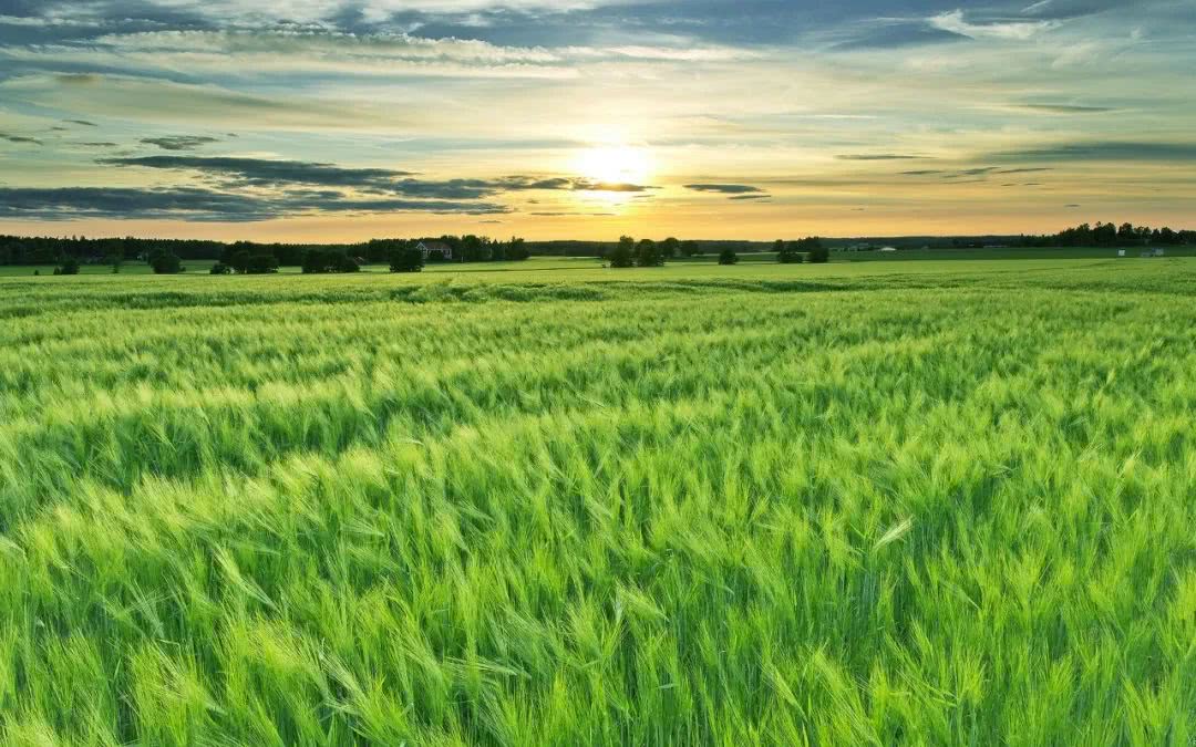 生肖：4.25喜鹊叫，4.26特大好消息，4生肖运势响当当，事业前程光明