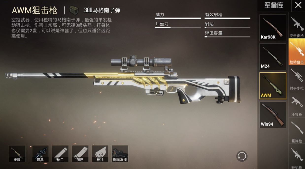 【狙击】和平精英：M24皮肤白买了，连狙变主流，被忽视的它成大神首选