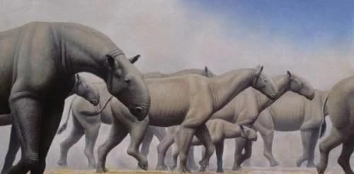 「霍金」史上有哪些可以称作是“远古巨兽”的生物?