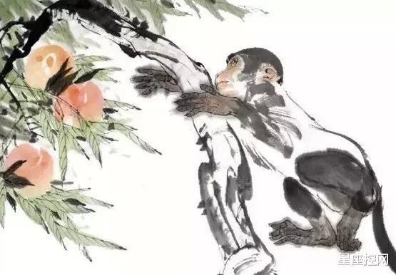 生肖@5月上半月,4生肖先升职,后加薪,赚钱机会一波未平,一波又到