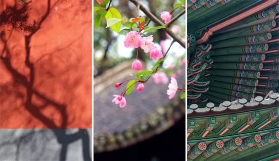 『』新中式，不一样的高级美！