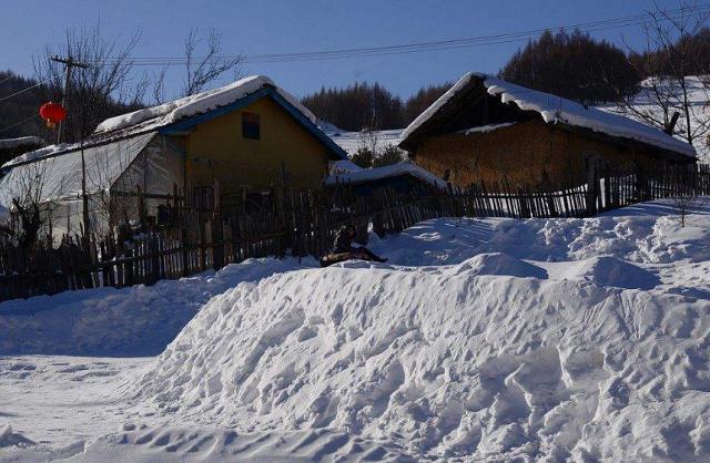 酸菜|温暖东北人寒冬的4道菜，这“四暖”怎么吃都不够！