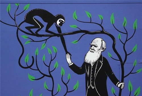 猩猩|美国发现一基因变异猩猩，手指已进化成和我们一样，它还能进化吗