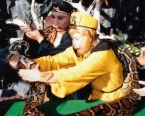 蟒蛇■《西游记》中的那条大蟒蛇不是道具？看了现场花絮照才知道！