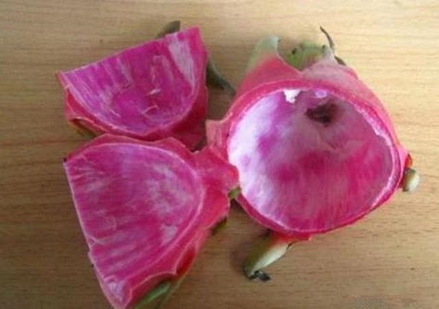 火龙果|火龙果的皮，解决了很多人的难言之隐，扔掉可惜了，女人最喜欢