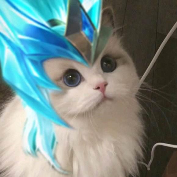 王者荣耀|王者荣耀：战绩经常出现尽力局，胜率低于50，是自己本身的问题？