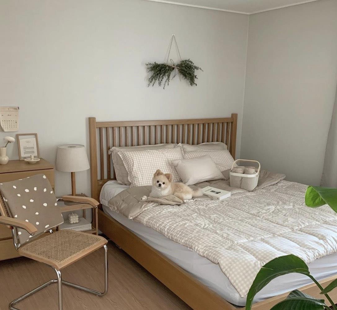 |78㎡！一屋一狗一人独居！她把家布置得简单唯美，一个人住太舒服