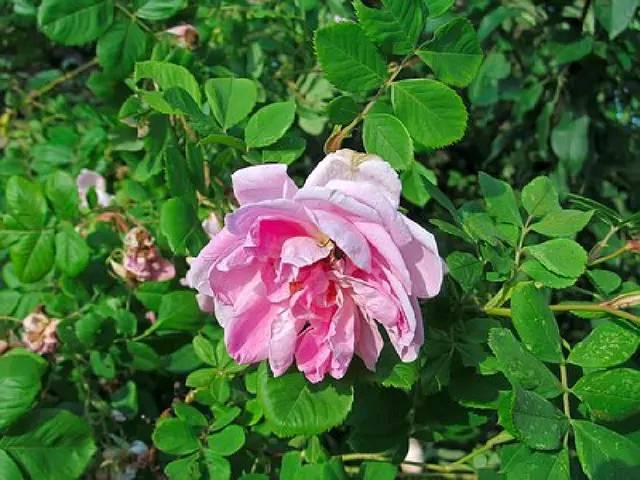 『生肖』这几个生日尾数的人,他们往往比较好运,人品比较好