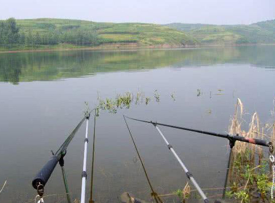 |应付烦人的小杂鱼，有七种方法供你选择，钓鱼新手收藏
