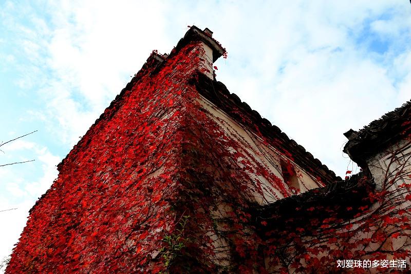 「离职」离职后,不要轻易说这五句话,不然有你后悔的时候