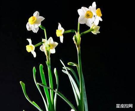 |哪些月份出生的人，今年鼓足了劲向前冲，年底将有喜事找上门！