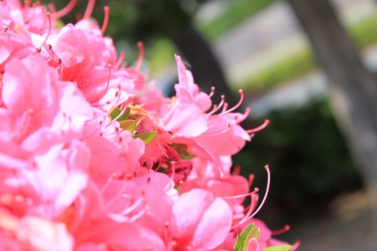 生肖|恭喜4生肖,9月好运不断升温,职场一帆风顺,贵人领路赚大钱