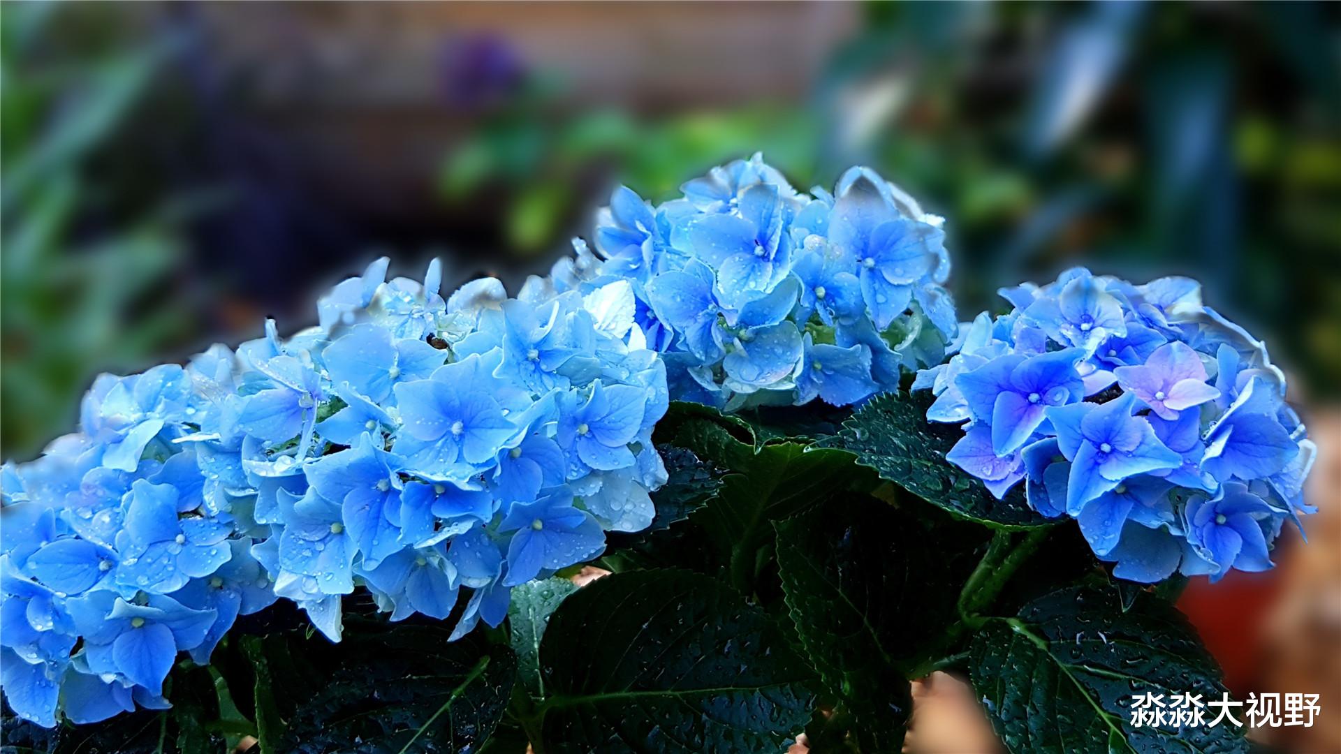 「」生肖猴：风水轮流转！终于大运临头，5天内钱财大赚！