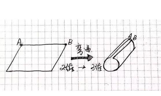 「科学家」蚂蚁是二维世界生物，那它们看人类是什么样子呢？科学家给出答案