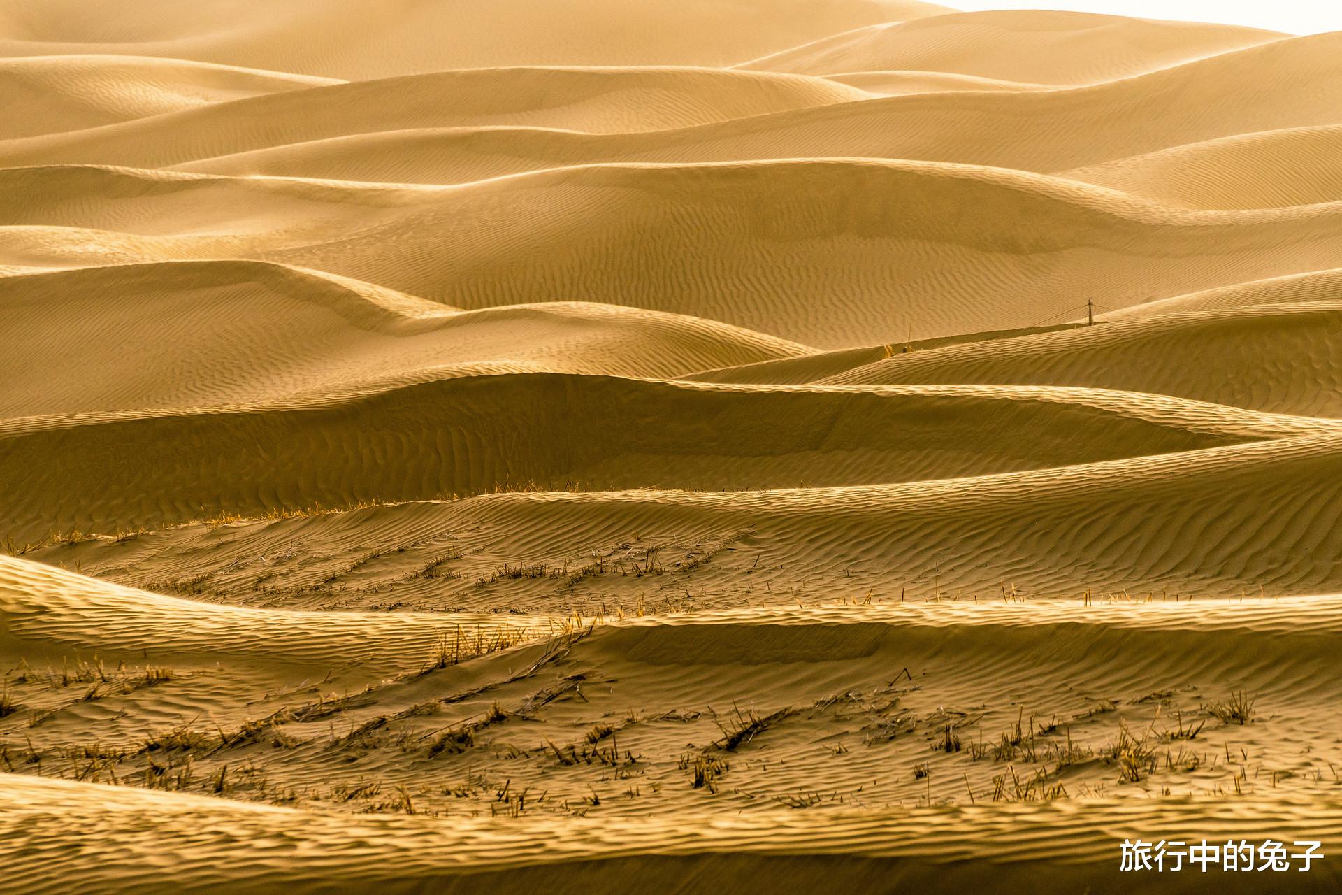 塔克拉玛干沙漠|中国最大沙漠下，隐藏着一片大海？淡水储量相当于8条长江
