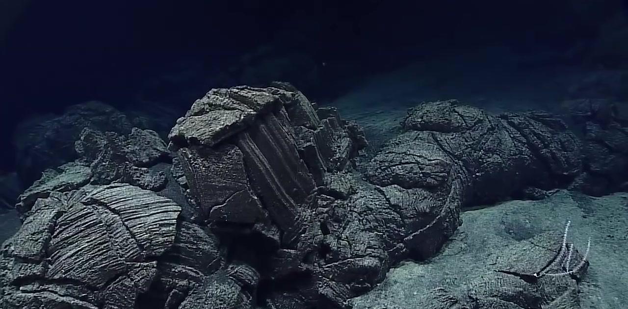 马里亚纳海沟|科学家在马里亚纳海沟8145米处, 发现神奇生物, 让人大开眼界