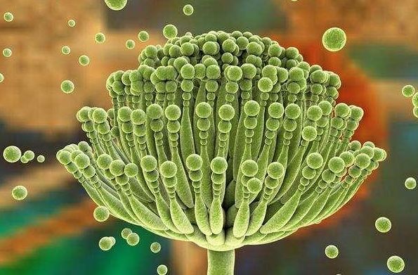 肝癌■50岁男子，查出肝癌晚期，妻子病床前痛哭：是我害了你