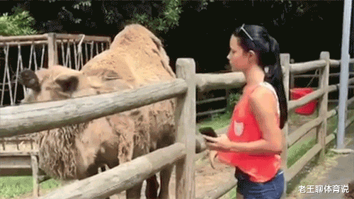 |有哪些小吃特别上瘾？吃了一个星期麻辣烫，老板娘都让我们换别的