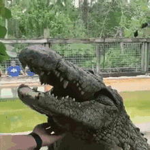 |“在大腿纹一只海螺,当你靠近的时候,就能闻到海的味道”,哈哈哈~