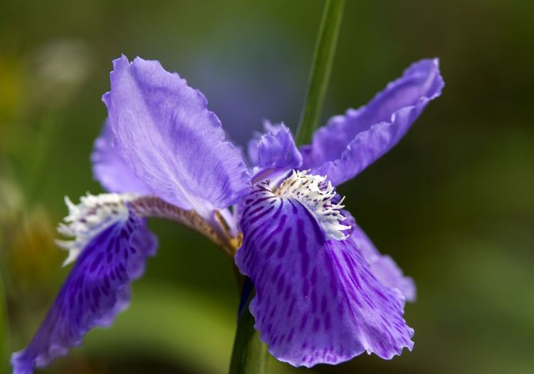 旧爱|九月初好运上门，左右逢源，财运直线攀升，该来的财定会来的生肖