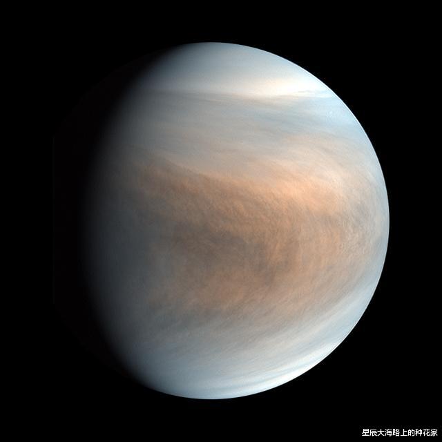 NASA|NASA：465℃的金星上发现了生命，我有点慌，必须得去看一看！
