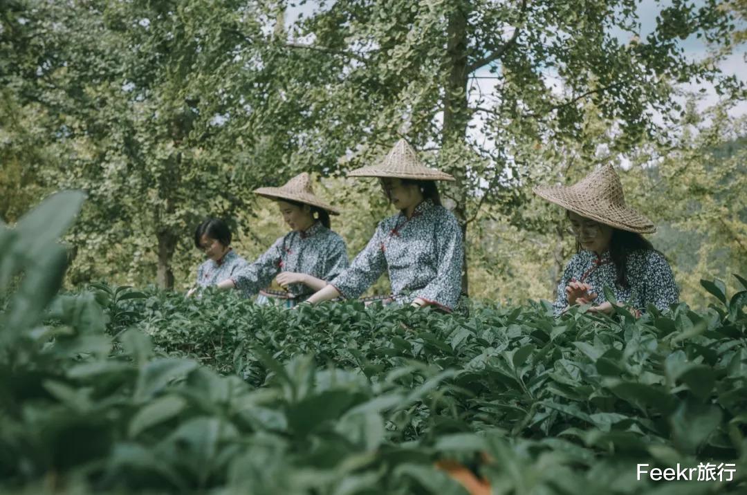 衢州▲马云都来悄悄拜访！这座浙西小县城，究竟有什么魔力？