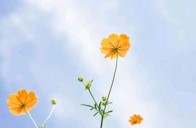 別跟自己過不去 70岁男人娶小18岁保姆：老牛吃嫩草“面子光鲜，里子难堪”