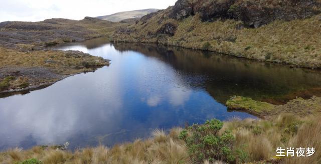 运势@5月中旬,抵不过思念,离不开旧情人,3生肖再次牵手,缠绵悱恻