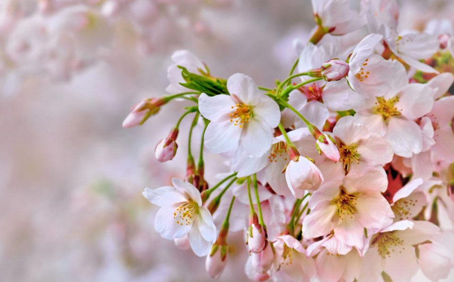 生肖|从下个月开始这三生肖得到财神爷关照,赚得大笔财富,大富大贵