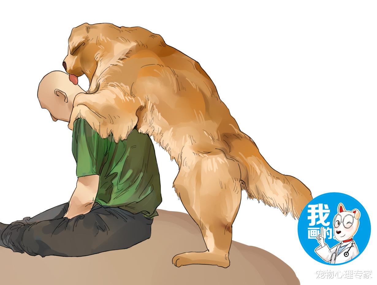 金毛喜欢舔男子的光头，过了1年后，专家的说法让主人心塞