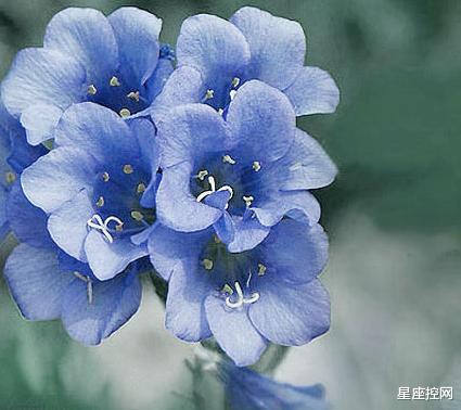 |哪些日子出生的人，9月有望出人头地，事业拔得头筹！