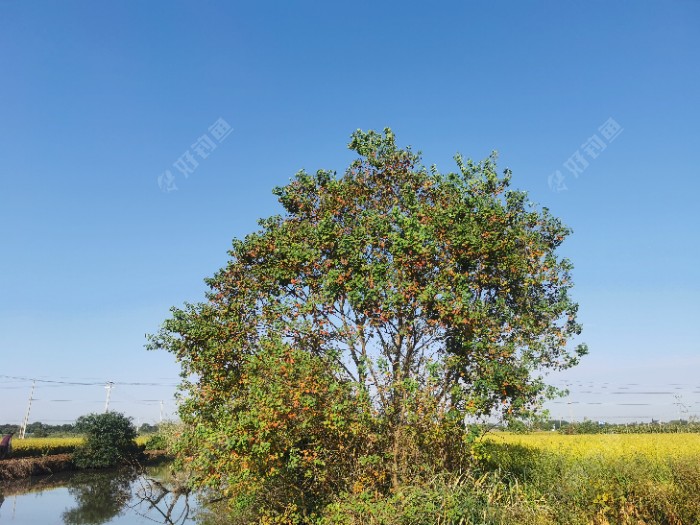 |秋意渐浓，在秋风中享受垂钓的快乐
