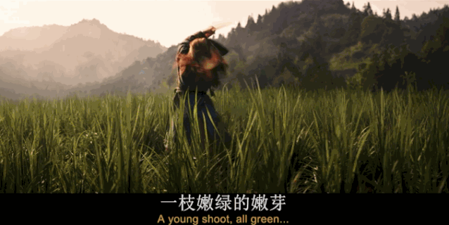 花木兰|迪士尼拍《花木兰》，不扑街才是真意外